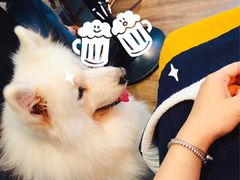 -81BAKERY(大学路店)
