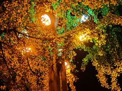 -四川大学(华西校区)