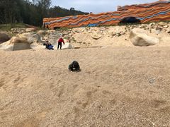 -广东惠东海龟国家级自然保护区