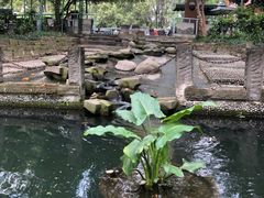 -成都市活水公园