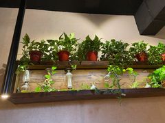 -有才叔北京时间涮肉(紫薇尚层店)