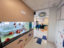 -杭州贝瑞斯美华妇儿医院·早孕·产检·儿科