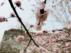 -北京明城墙遗址公园
