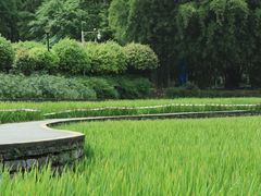 -龙头寺公园