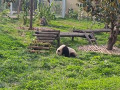 -西安秦岭野生动物园