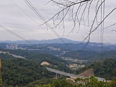 -黄埔油麻山森林公园
