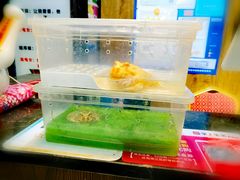 -蛙麻蛙辣炭火蛙锅(南环大街店)