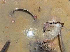 -湖碟轩·私厨坊(张家港店)