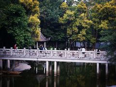 -深圳国际园林花卉博览园