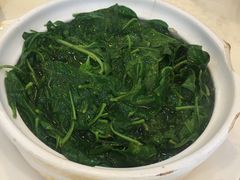 上汤枸杞叶-深运潮州粥(水库店)