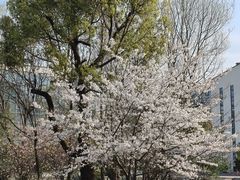 -湘湖金融镇