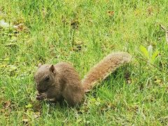 -帽儿山国家森林公园