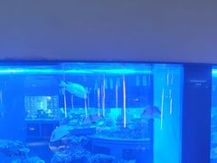 -上和臻品中国菜(花园街店)