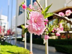 -五洲咖啡厅(五洲大酒店)