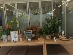 -dōTERRA多特瑞精油生活馆