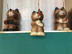 -飞行喵MR PILOT|猫舍·猫咖(静安大融城店)