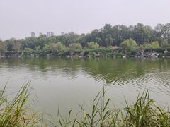 -西安浐灞国家湿地公园