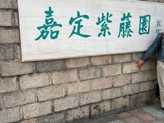 -嘉定紫藤园