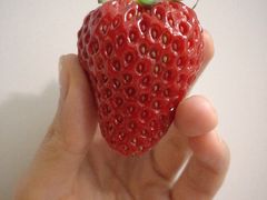 草莓-西郊国际农产品交易中心