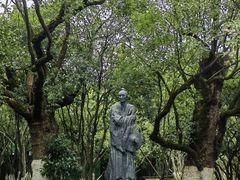 -八大山人梅湖景区