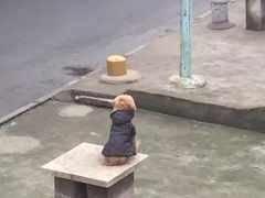 -俊江南时尚创意餐厅