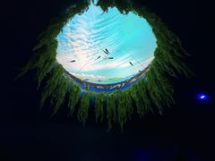-欢乐海岸海洋奇梦馆