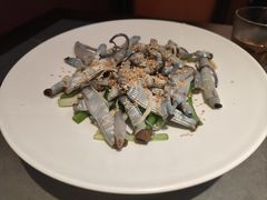 -张家卫·阳江菜·小海鲜(肥婆湾桥店)