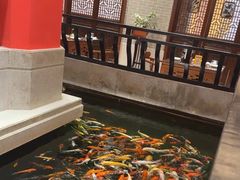 -龙悦湾酒家·八阵鱼生·渔人码头店