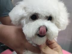 -宠福鑫康馨动物医院·骨科·眼科