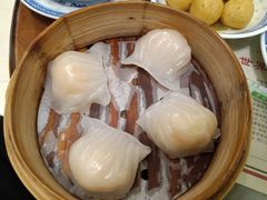 虾饺-捷信牛奶甜品世家(五道口店)