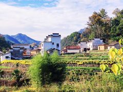 -塔川景区