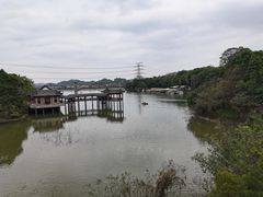 -水濂山森林公园