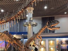 -国家自然博物馆