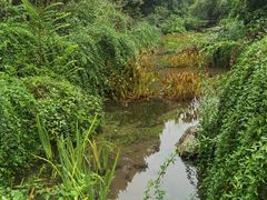 -一江春水·杭帮臻宴(三台山店)