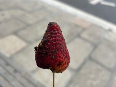 -雪儿钱局泡菜