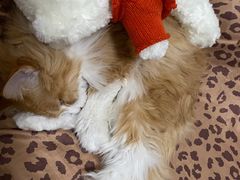 -半天妖烤鱼(方庄店)