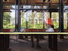 -合肥滨湖国家森林公园