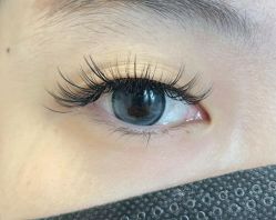 -BELLAREAL新美社