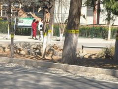 -石家庄市动物园