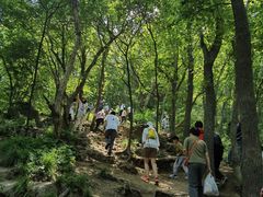 -紫金山山顶公园