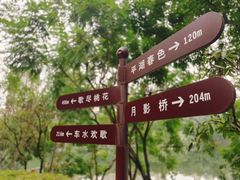 -重庆彩云湖湿地公园