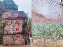 -昆明动物园
