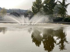 -石家庄市植物园