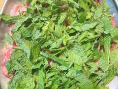 薄荷叶(牛肉伴侣)-洱火云南酸菜牛肉火锅(石景山当代商城店)