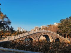 -南山公园