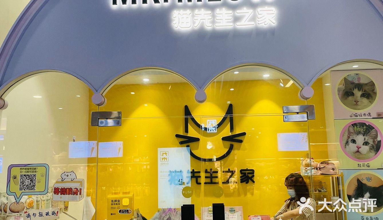 探店丨猫先生之家·猫舍