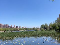 -前关湿地公园