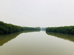 -大湾区中央湿地公园