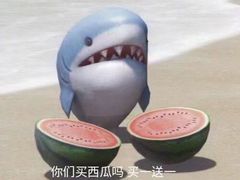 -杨记乳扇·雕梅