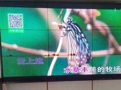 -谢氏老金口(江夏武昌大道店)